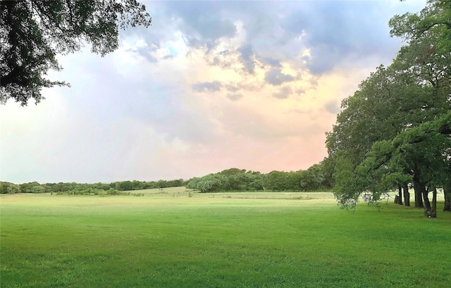 view of property's community featuring a yard