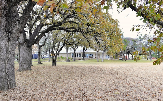 view of surrounding community