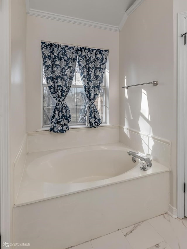 bathroom with crown molding and a washtub