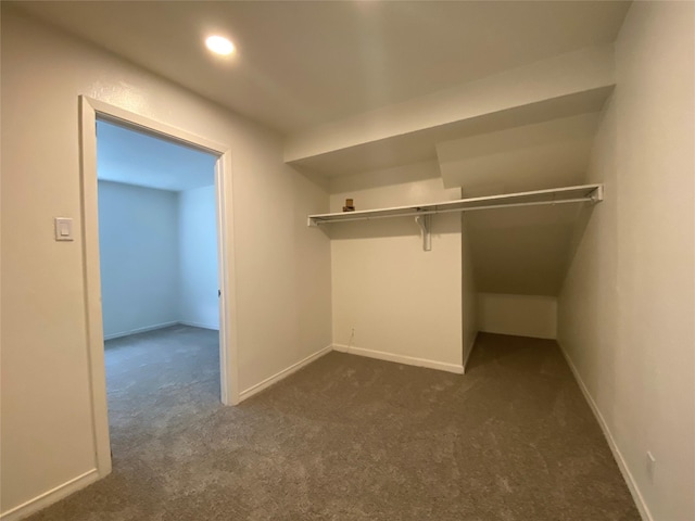 spacious closet with dark colored carpet