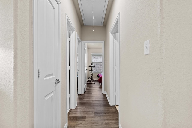 corridor with dark hardwood / wood-style flooring