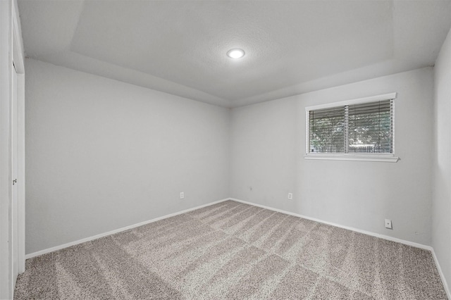 carpeted empty room with a tray ceiling and a textured ceiling