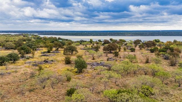 Listing photo 3 for TBD15ACRES Dunn Dr, Palo Pinto TX 76484