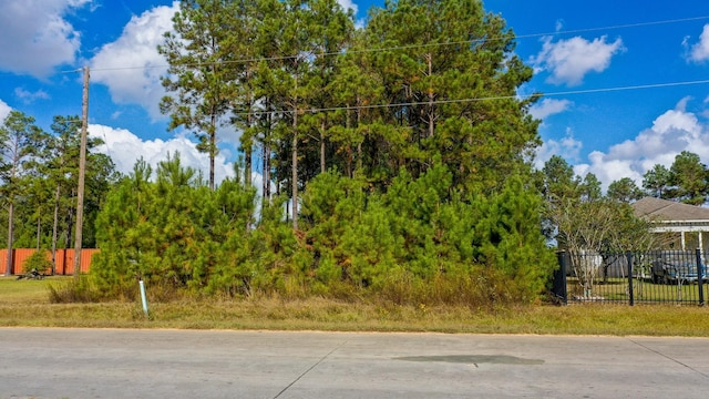 TBD.54AC Rd 5029, Cleveland TX, 77327 land for sale