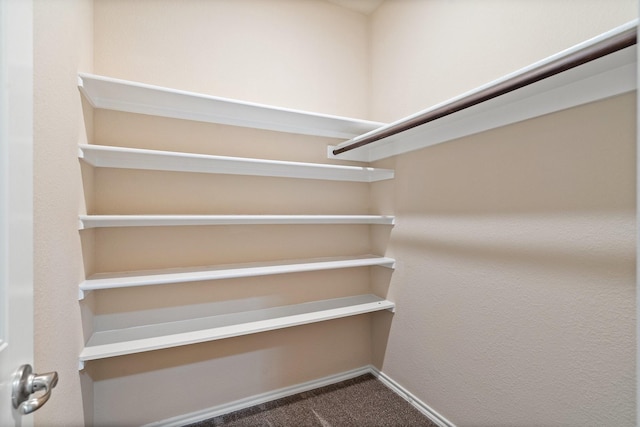 walk in closet featuring carpet