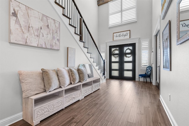 foyer with a towering ceiling and dark hardwood / wood-style floors