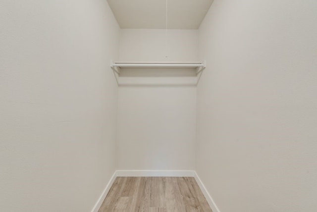 spacious closet featuring light hardwood / wood-style floors