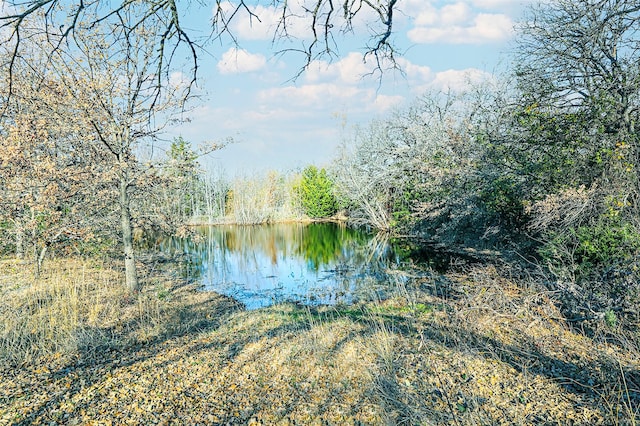 view of water feature