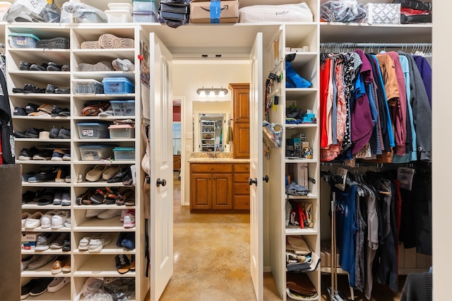 walk in closet with light colored carpet