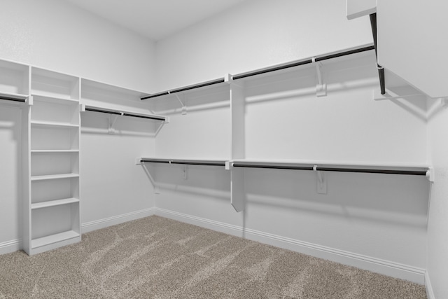 walk in closet featuring carpet flooring