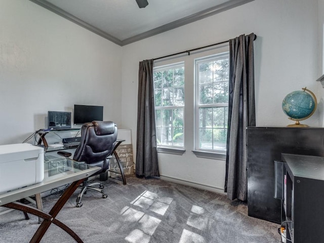 carpeted home office featuring crown molding