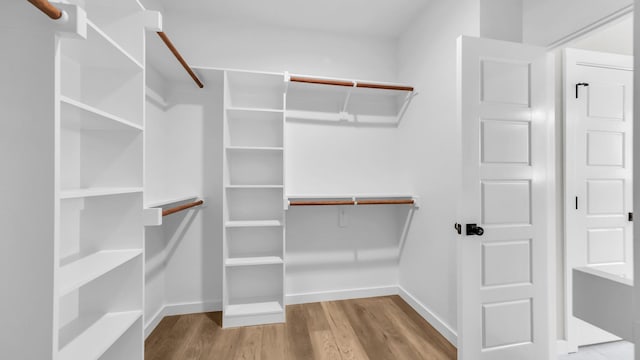 spacious closet featuring light wood-type flooring