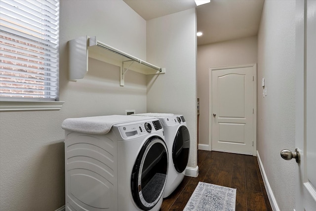 laundry room featuring washer and dryer and dark hardwood / wood-style flooring