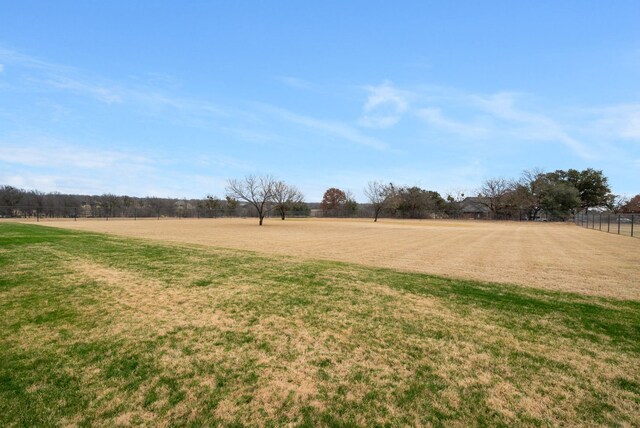 view of yard with a rural view