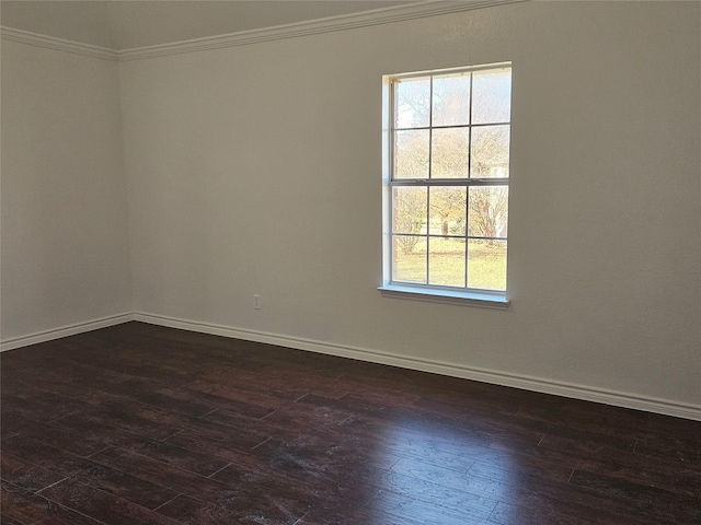 spare room featuring a healthy amount of sunlight, crown molding, and dark wood-type flooring