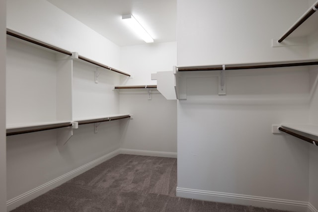 walk in closet featuring dark colored carpet