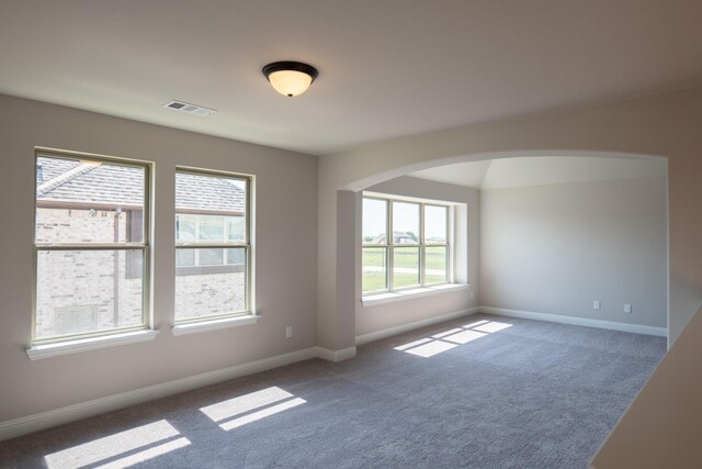 empty room featuring a wealth of natural light and carpet floors