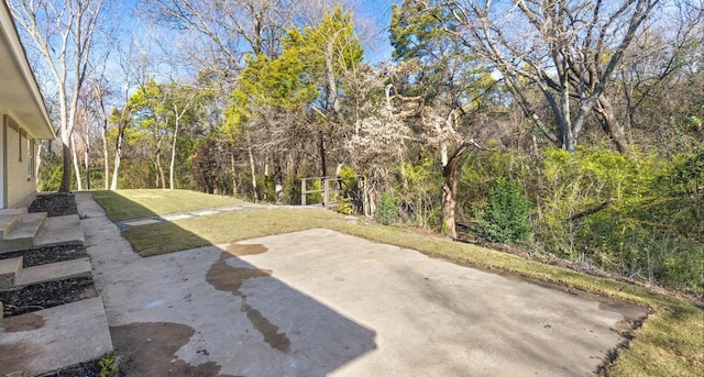 view of yard with a patio area