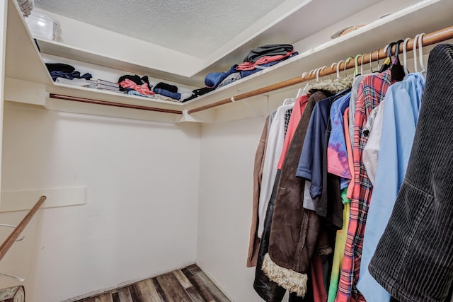 spacious closet featuring hardwood / wood-style flooring