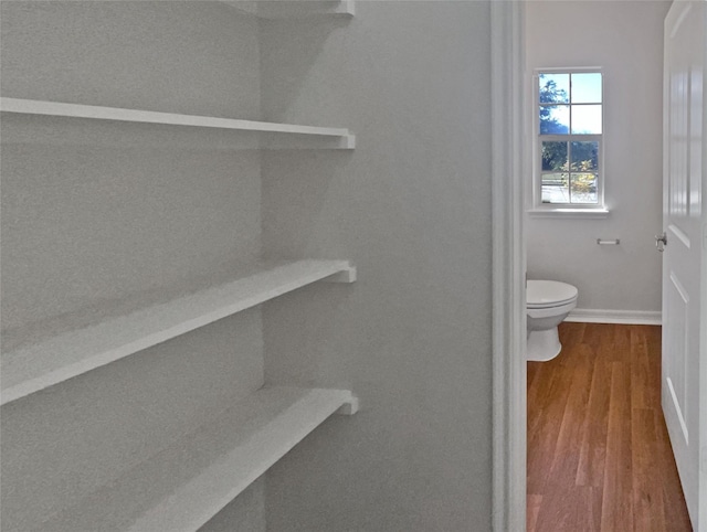 bathroom with hardwood / wood-style floors and toilet