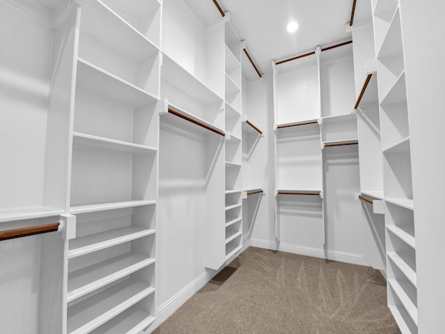 walk in closet featuring light colored carpet