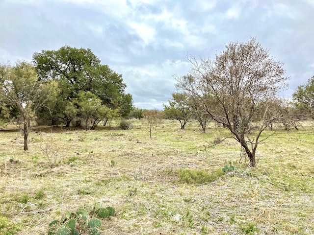 25ACTRACT5 Fm 880, Moran TX, 76464 land for sale