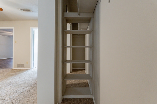 staircase featuring carpet