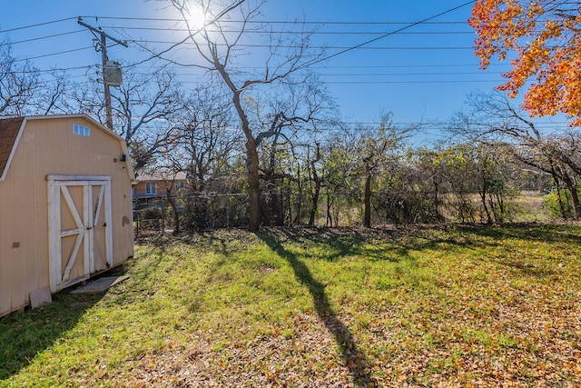 view of yard with a storage unit