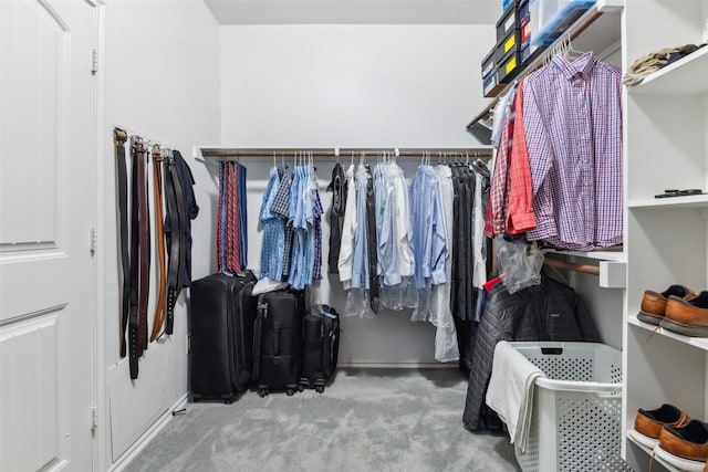 spacious closet featuring carpet