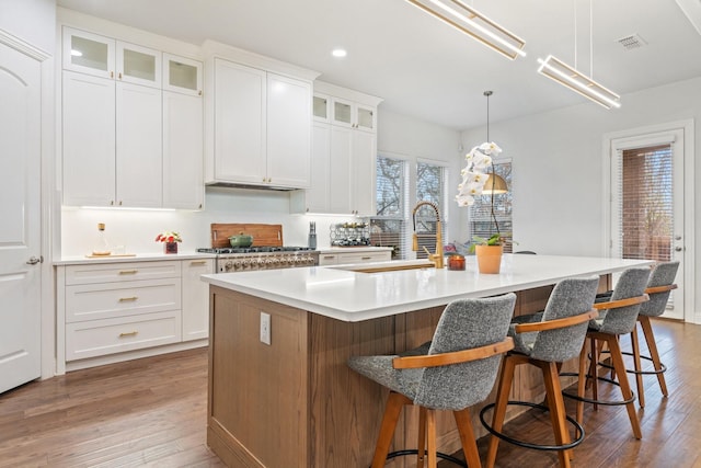 kitchen featuring a large island, sink, pendant lighting, white cabinetry, and hardwood / wood-style floors