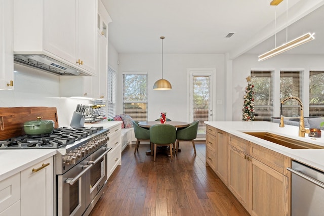 kitchen with sink, dark wood-type flooring, appliances with stainless steel finishes, white cabinetry, and decorative light fixtures