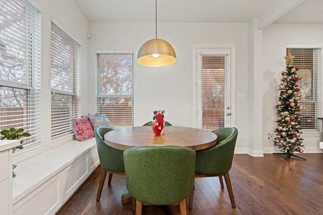 dining space featuring dark hardwood / wood-style flooring and plenty of natural light