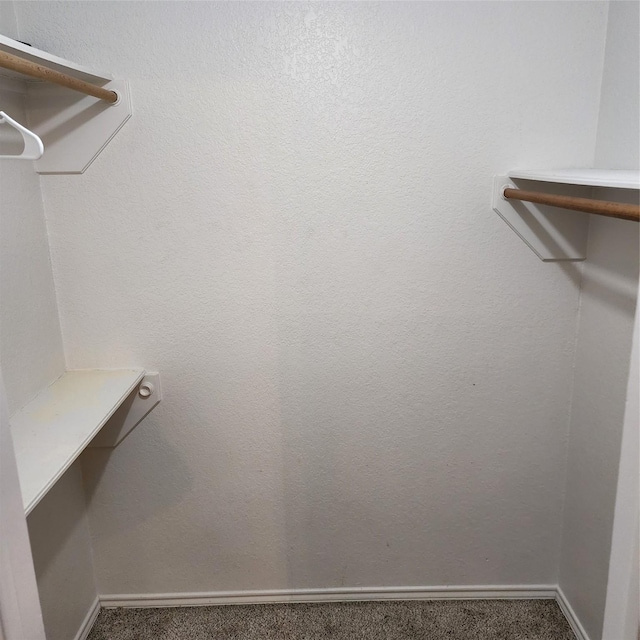 spacious closet with carpet flooring