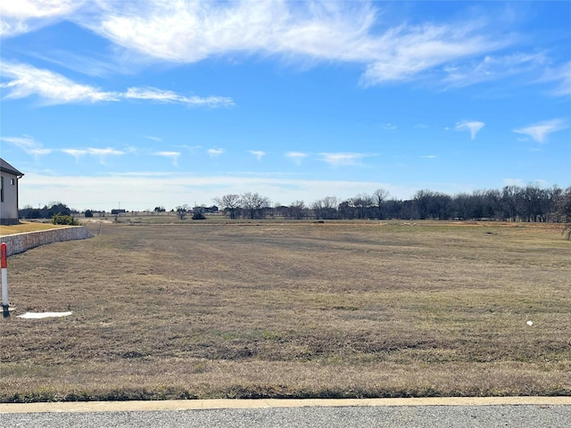 Listing photo 2 for LOT27A Coyote Creek Dr, Gordonville TX 76245