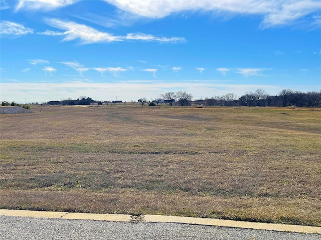 Listing photo 3 for LOT27A Coyote Creek Dr, Gordonville TX 76245