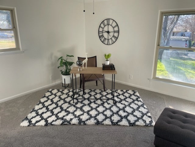 office with carpet and a wealth of natural light