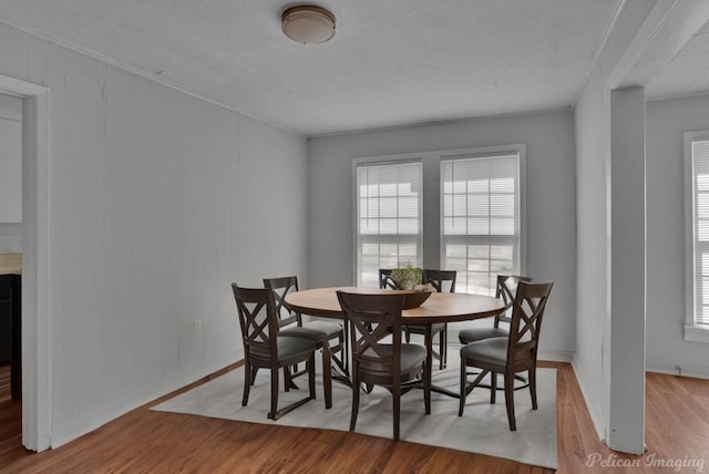 dining space featuring a healthy amount of sunlight and light hardwood / wood-style flooring