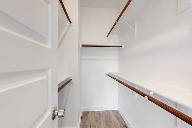 spacious closet featuring light hardwood / wood-style floors