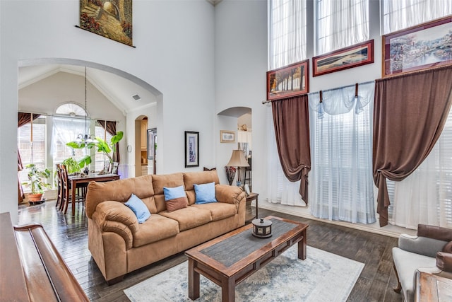 living room featuring dark hardwood / wood-style floors and high vaulted ceiling