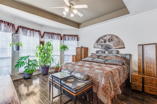 bedroom with a tray ceiling, ceiling fan, and wood finished floors