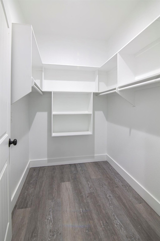 spacious closet featuring dark wood-type flooring