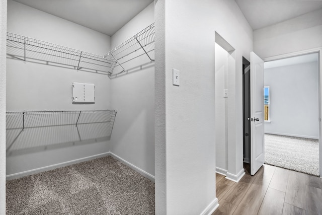 spacious closet with wood-type flooring