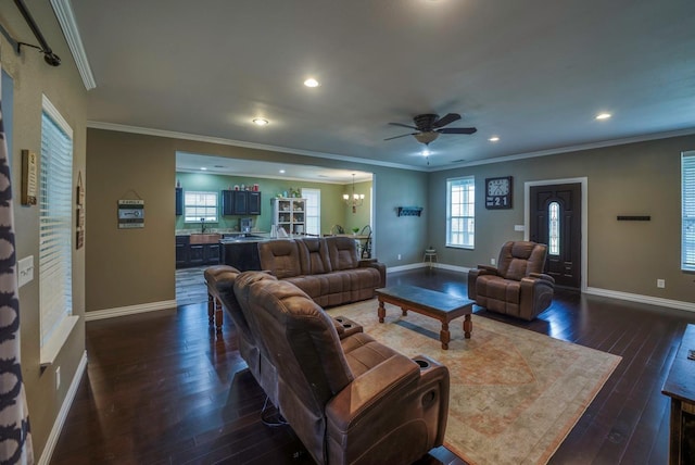 living room featuring ceiling fan with notable chandelier, dark hardwood / wood-style floors, ornamental molding, and sink