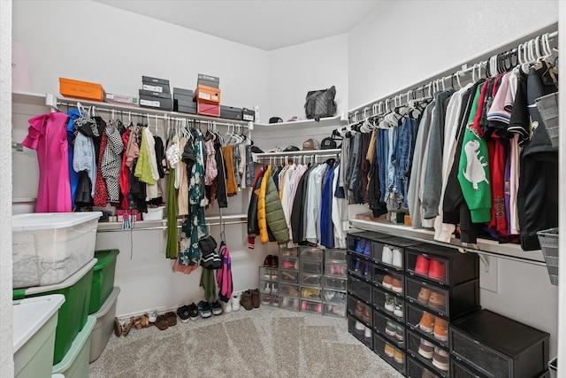 walk in closet featuring carpet floors