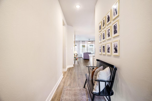 hall featuring wood-type flooring