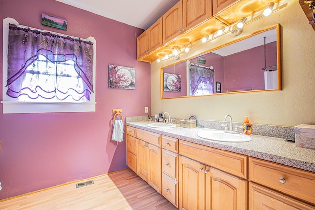 bathroom featuring hardwood / wood-style flooring and vanity