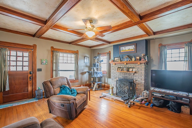 living room featuring beamed ceiling, ceiling fan, coffered ceiling, and light wood-type flooring