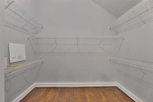 walk in closet featuring hardwood / wood-style floors