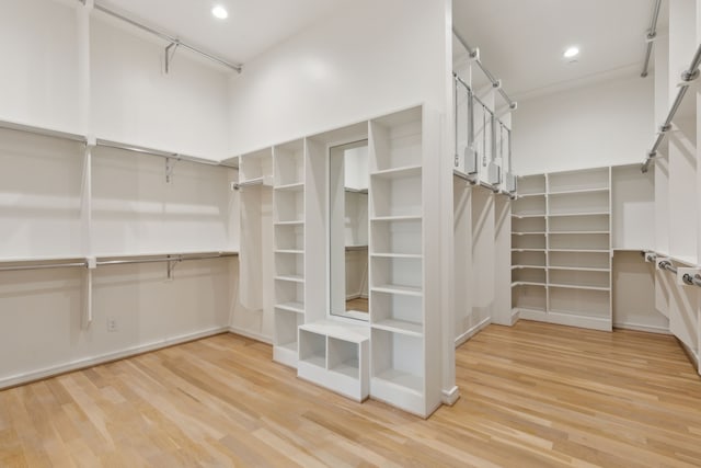 spacious closet featuring wood-type flooring