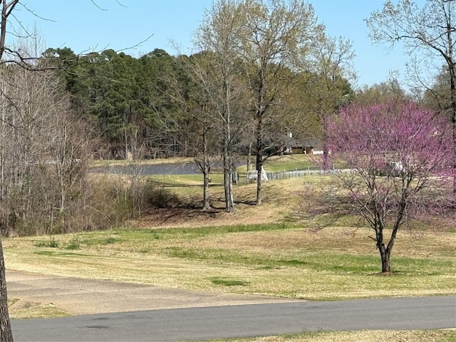 view of road